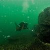 Advanced Open Water Diver